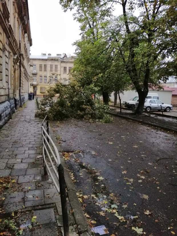 негода Львів погода вітер