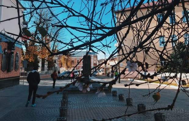 У Мукачево цвіте сакура