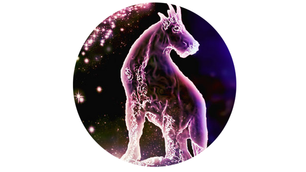   February 2019 Horoscope for Capricorns 