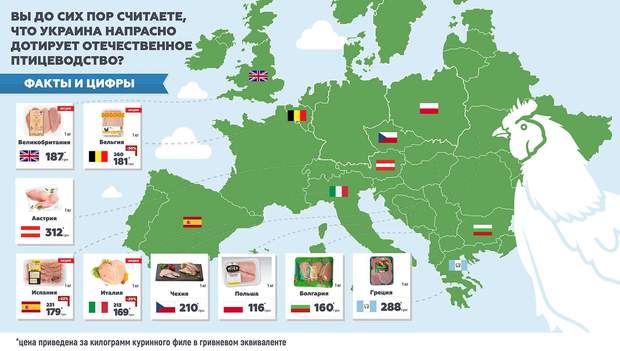 Інфографіка, м'ясо, курятина, Європа 