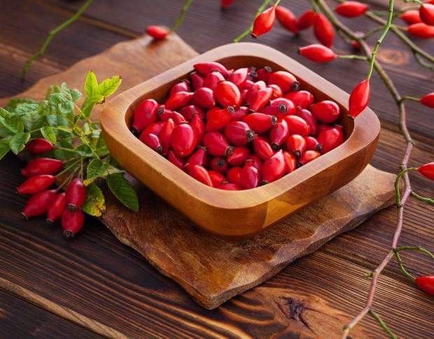 Шипшина Шипшина