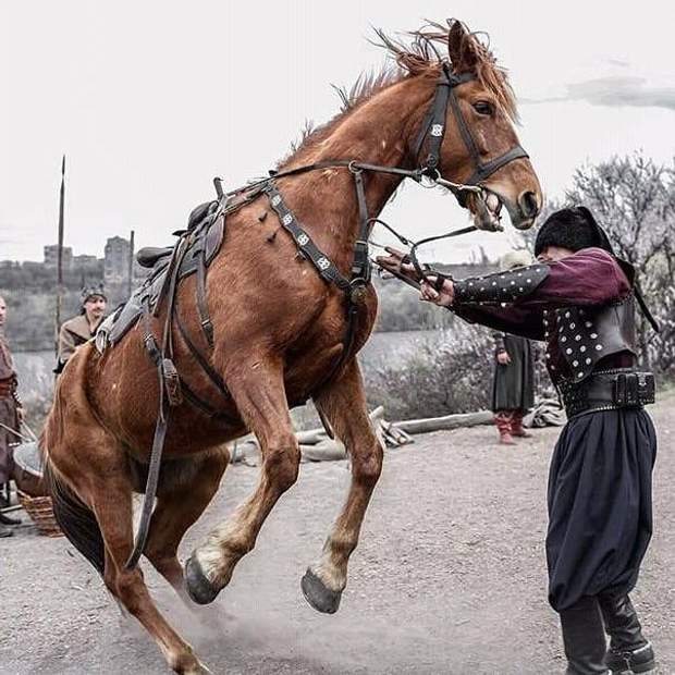 Упавшая лошадь фото