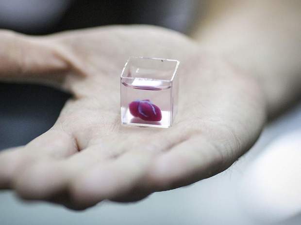 Крихітне живе серце, яке надрукували на 3D принтері