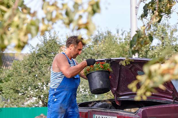 Соняшний Чорнобривець заквітчує Україну