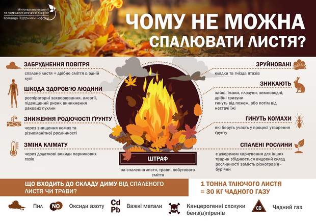 Листья