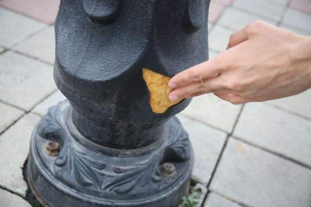 Пластикові ліхтарі, Єкатеринбург, Росія, Курйози, Дмитро Москвін