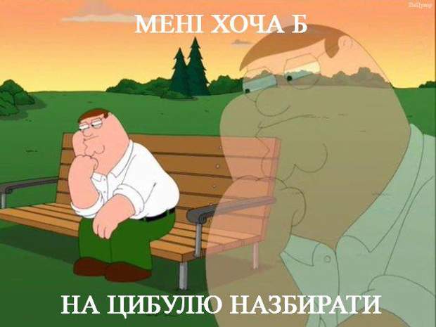 Цибуля