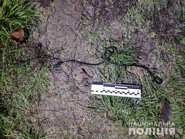 Нікополь поліція