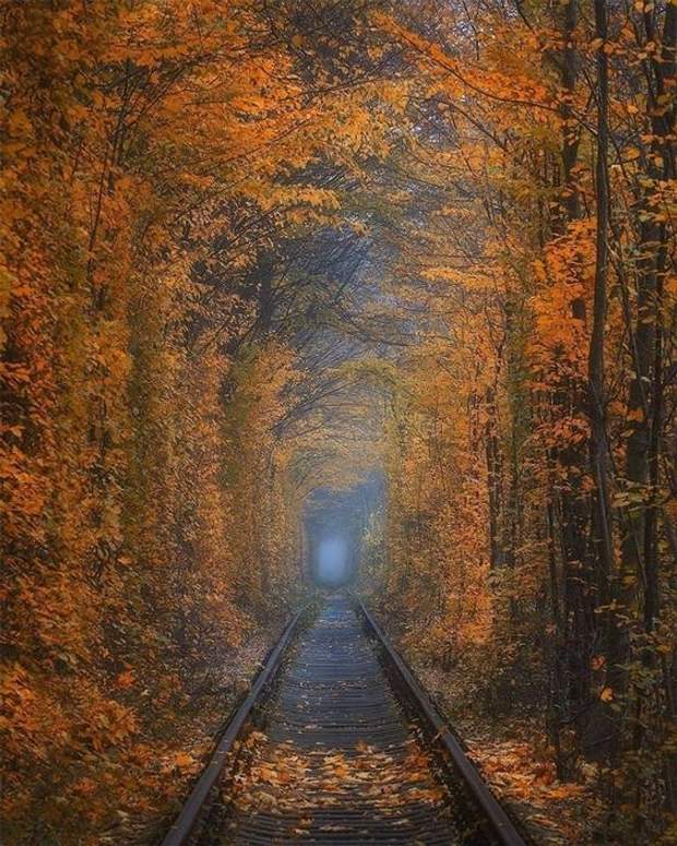 Тунель кохання восени