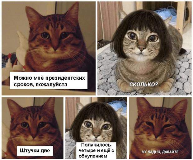 Терміни Путіна