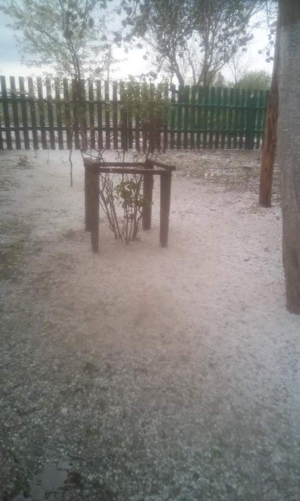 град у видиборі