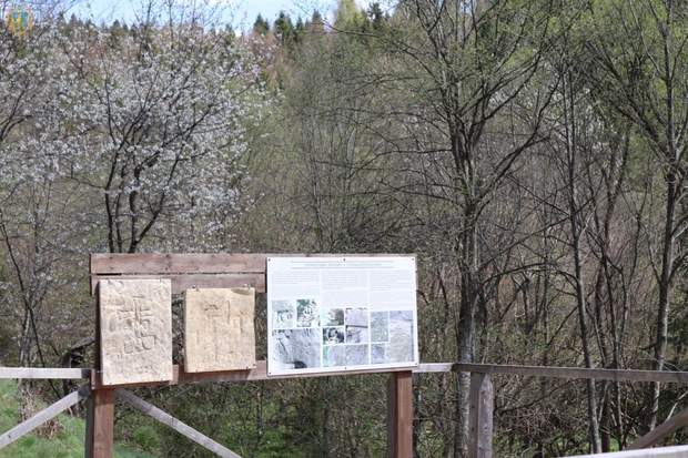 Сколе Сколе