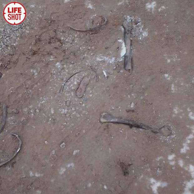 людські рештки на дорозі в Росії людські рештки на дорозі в Росії