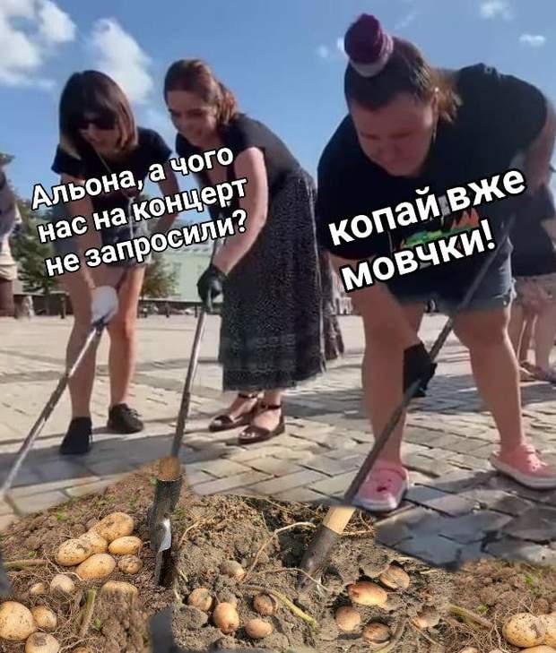 Скандал Альона картопля