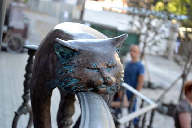 Рижик Рижик