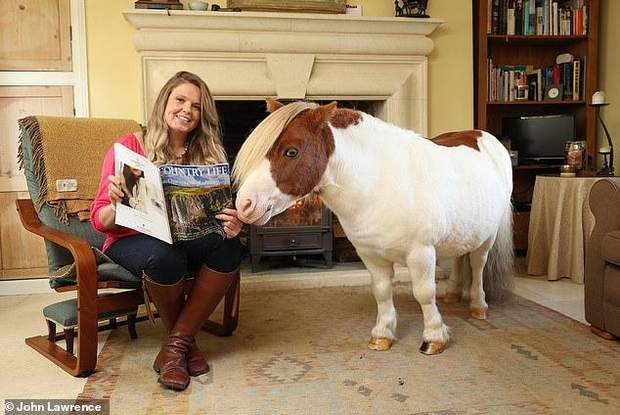 Містер Фаддлс