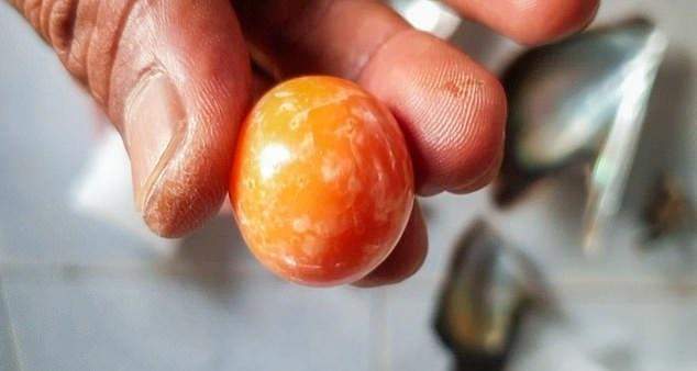 Рибалка з Таїланду знайшов дорогоцінну перлину рідкісного відтінку: яка її вартість