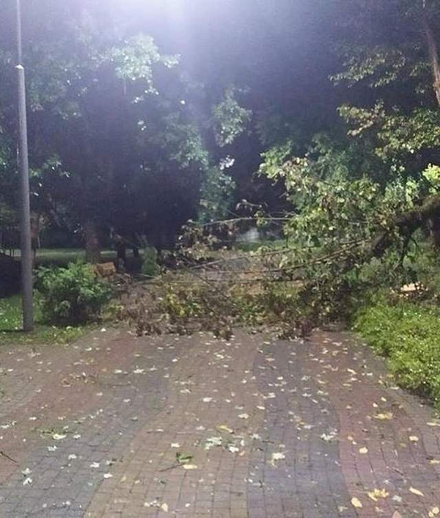 Відео/фото: Хустщина та Тячівщина найбільше постраждала від негоди