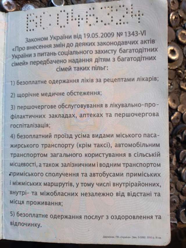 Не хотів везти за посвідченням: водій маршрутки вигнав з салону дитину з багатодітної сім’ї