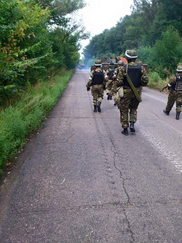 Добровольці 