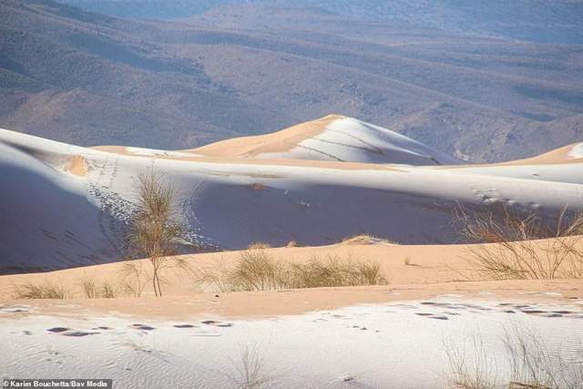 У пустелі Сахара випав сніг: з'явилися фото рідкісного явища