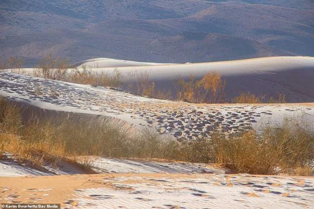 У пустелі Сахара випав сніг: з'явилися фото рідкісного явища