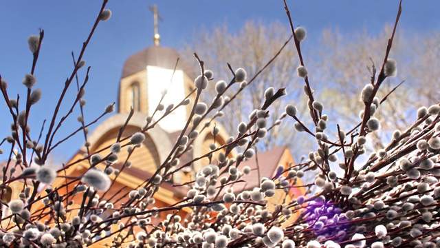 Не можна викидати: що робити зі старою свяченою вербою