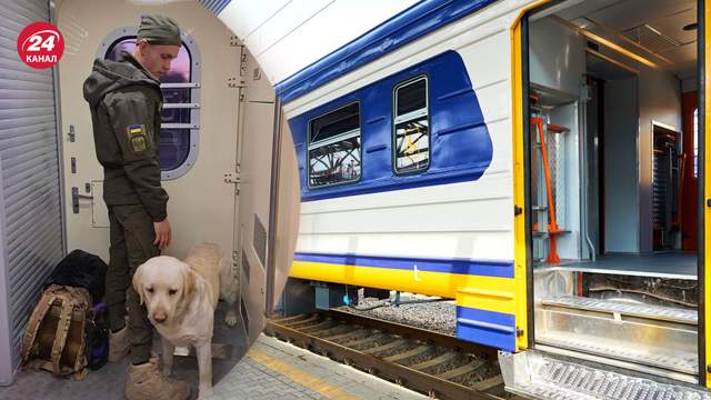 Військовий проїхав зі службовим собакою в тамбурі понад дві години: реакція Укрзалізниці