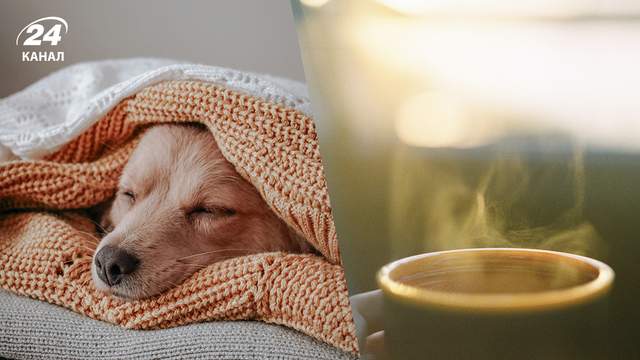 Намет у вітальні та сміттєвий пакет в унітазі: як вижити у багатоповерхівці без світла і тепла