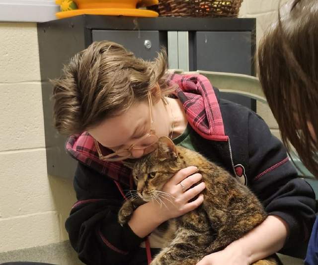 У США загублена кішка повернулася до господарів через 5 років: ось де весь цей час була Артеміда