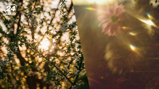 Повітря прогріється до +19: синоптикиня назвала найтепліші дні до кінця березня