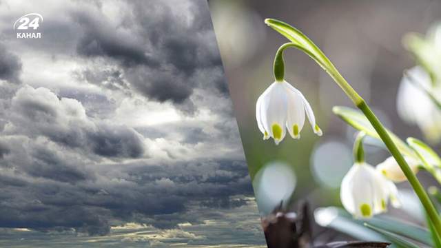 Температура дещо знизиться, а опади прогнозують лише в одному регіоні: погода на 25 березня