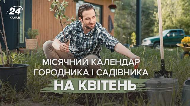 Місячний календар городника на кожен день: коли садити, щоб зібрати подвійний урожай