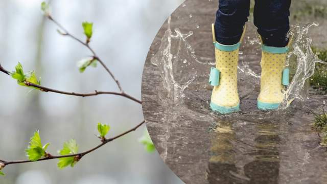 До +18, але подекуди з дощами та сильним вітром: погода 28 березня