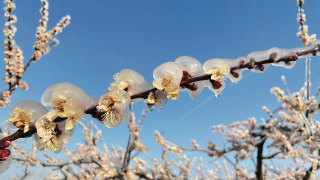 Квітень принесе похолодання в Україну: суне арктичне вторгнення зі Скандинавії