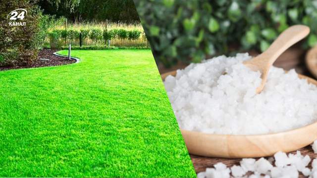Газон ціле літо буде зеленим: посипте його одним натуральним засобом