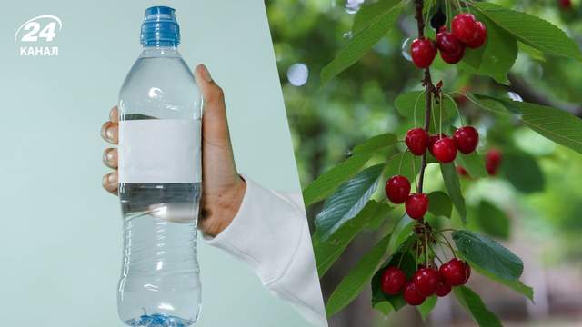 По пляшці на кожне фруктове дерево, і поширена проблема зникне сама: хитрий трюк дачників