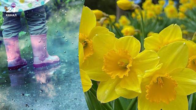 Сонце лише в двох областях, в інших дощ: прогноз погоди на 31 березня