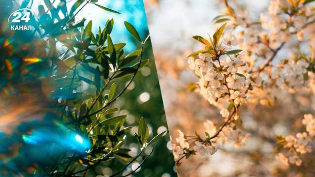 Повітря прогріється до +19, але дощі не відступають: як зміниться погода в Україні