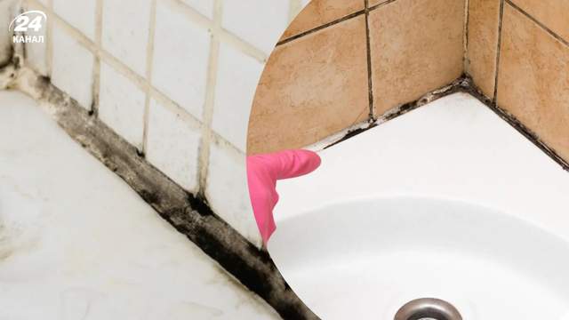 Від чорної плісняви не залишиться й сліду: допоможуть 3 прості кроки