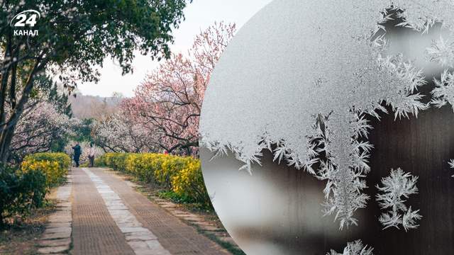 Нічні "мінуси" будуть по всій країні: де вдарять сильні заморозки вже 22 квітня