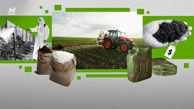 З поля на полицю: як зростання витрат аграріїв на продукцію може вдарити по цінах в супермаркетах