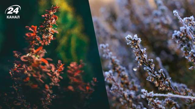 Арктичне повітря принесе заморозки до мінус чотирьох: прогноз погоди в Україні на тиждень