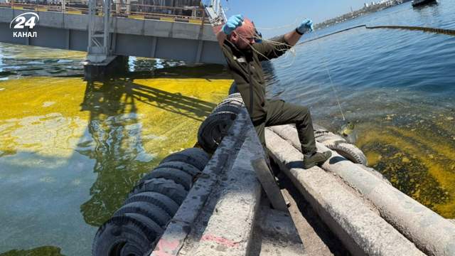 Тисячі тонн олії потрапили у море після атак Росії по порту Одещини, утворилася величезна пляма