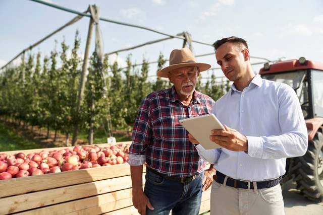Витрати аграріїв зростають: наскільки подорожчає продукція у 2026 році