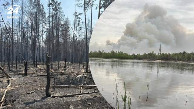 Масштабна пожежа у зоні відчуження поширюється далі: ДСНС розповіла про ситуацію
