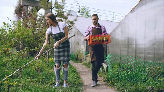 Ідеальні клумби більше не в моді: стає популярним тренд на хаотичне садівництво