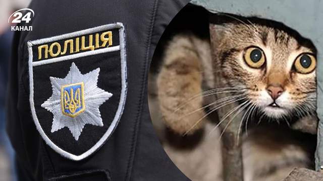 Била і душила тварин: мережу сколихнув скандал із неповнолітньою з Павлограда – що каже поліція