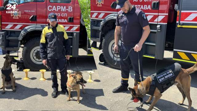 У ДСНС Полтавщини служитимуть собаки з Камбоджі