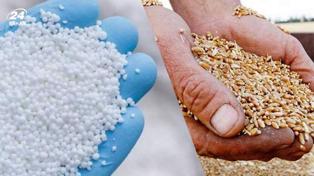Ринок агропродукції розвернувся: чому падають ціни на зерно 